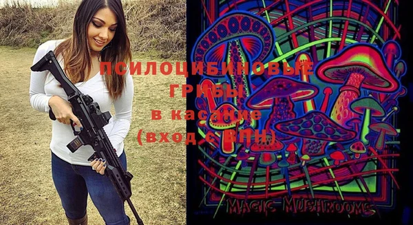 прущая мука Алзамай