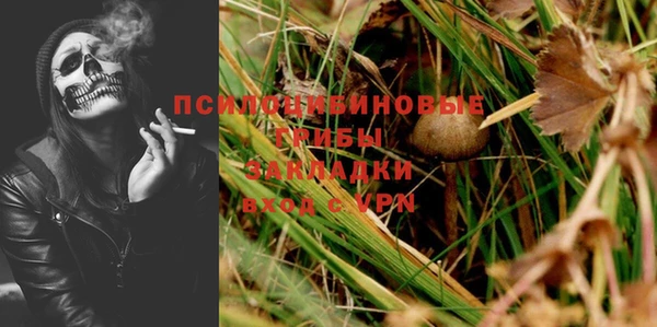 прущая мука Алзамай