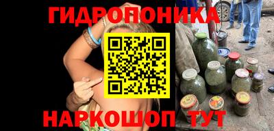 молекула духа Гагарин