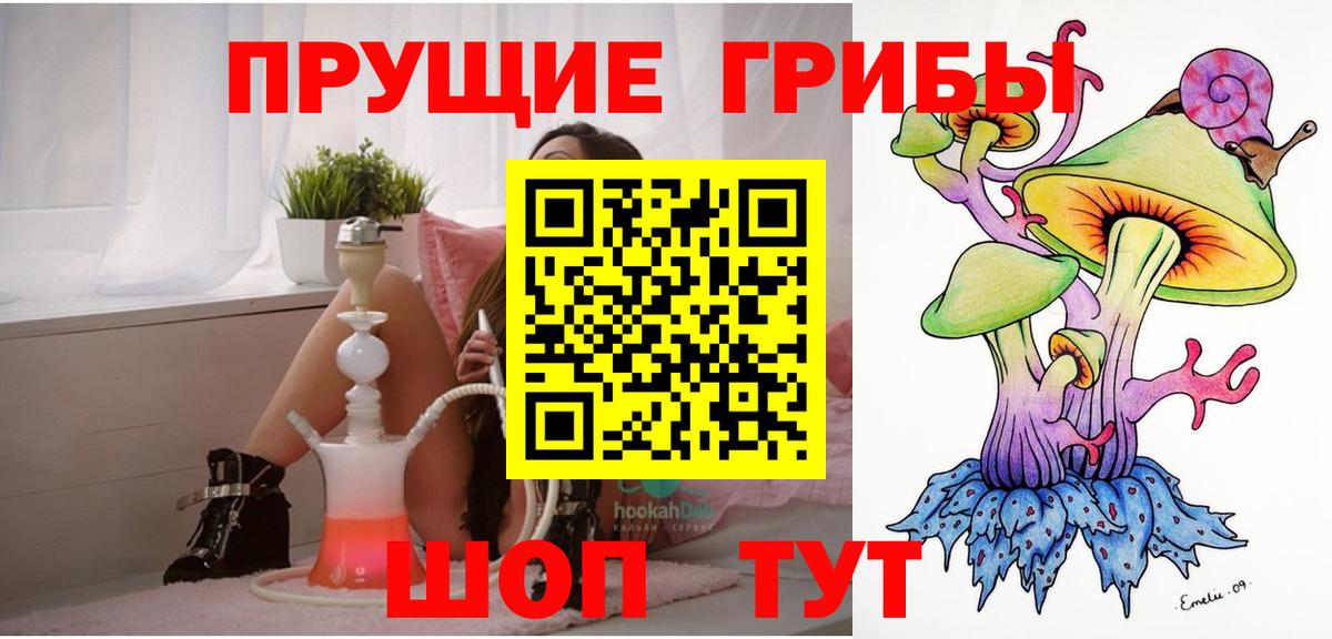 Мирный  Псилоцибиновые грибы Psilocybine cubensis  Вход с VPN 